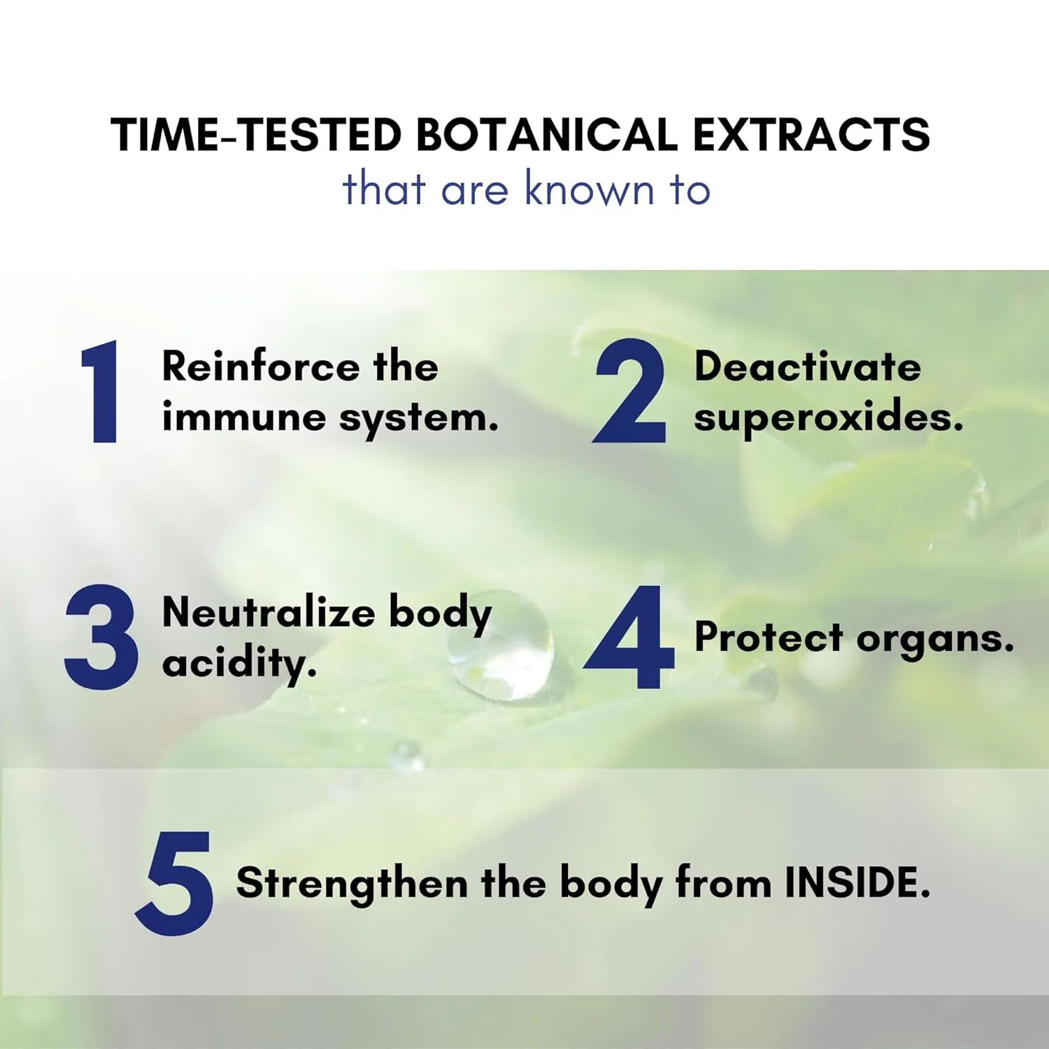 Aayudh Maintain + Syrup 200 ml 3.webp